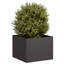 Planter-1920376241-1937852853