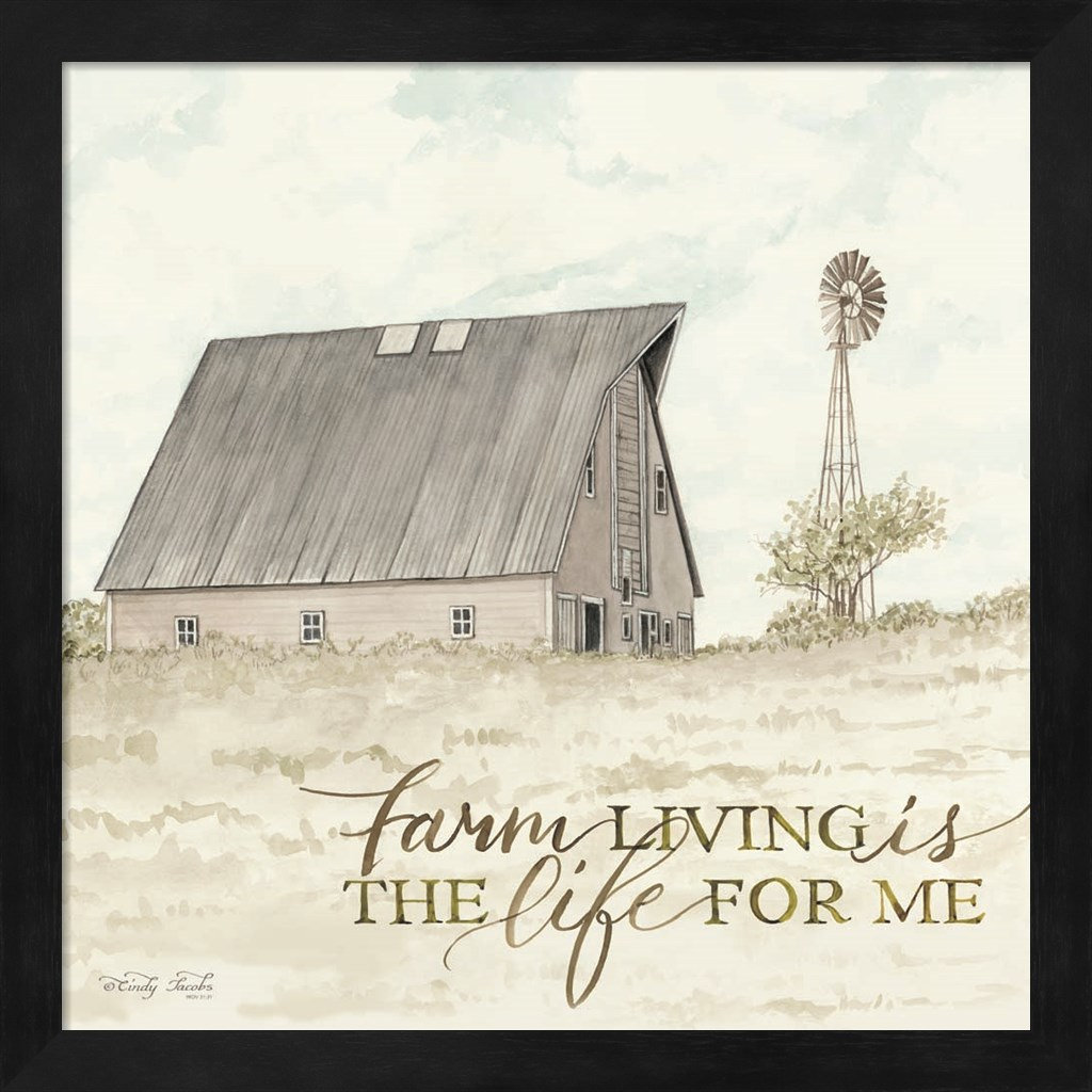 Rosalind Wheeler Farm Living By Cindy Jacobs, Framed Wall Art - Wayfair ...