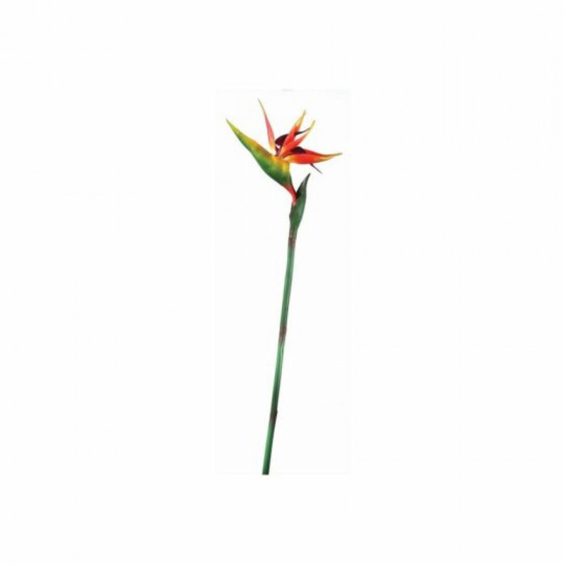 Fleur artificielle Real Touch Bird Of Paradise
