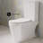 Lamarck Two-Piece Elongated Toilet Dual-Flush 1.1/1.6 Gpf