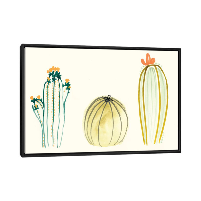 « funky plantes grasses iv », reproduction d’art sur toile tendue, H 32 po x l 48 po x P 1,5 po, Toile avec cadre noir