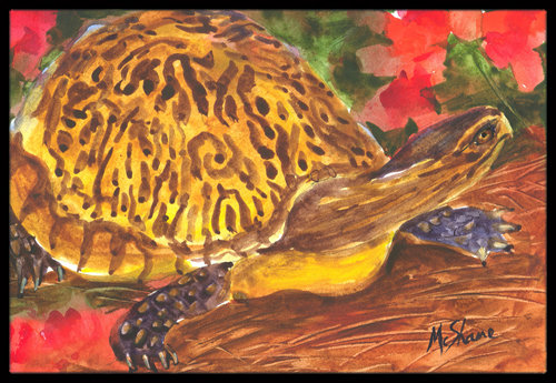 tapis de porte turtle Koda, Rectangle 2' x 3'