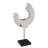 Eroded Wood C Sculpture on Stand, Assorted