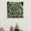 Green Succulent IV by Mia Jensen - Wrapped Canvas Print-373187872