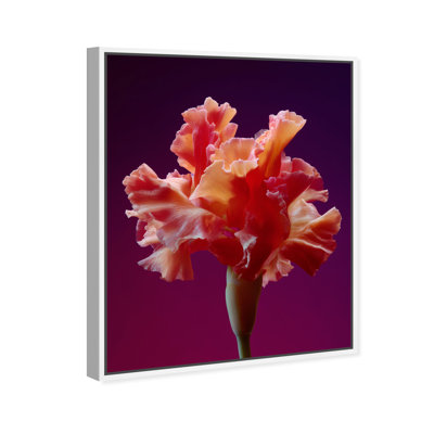 Taffeta Twilight I Print by Oliver Gal