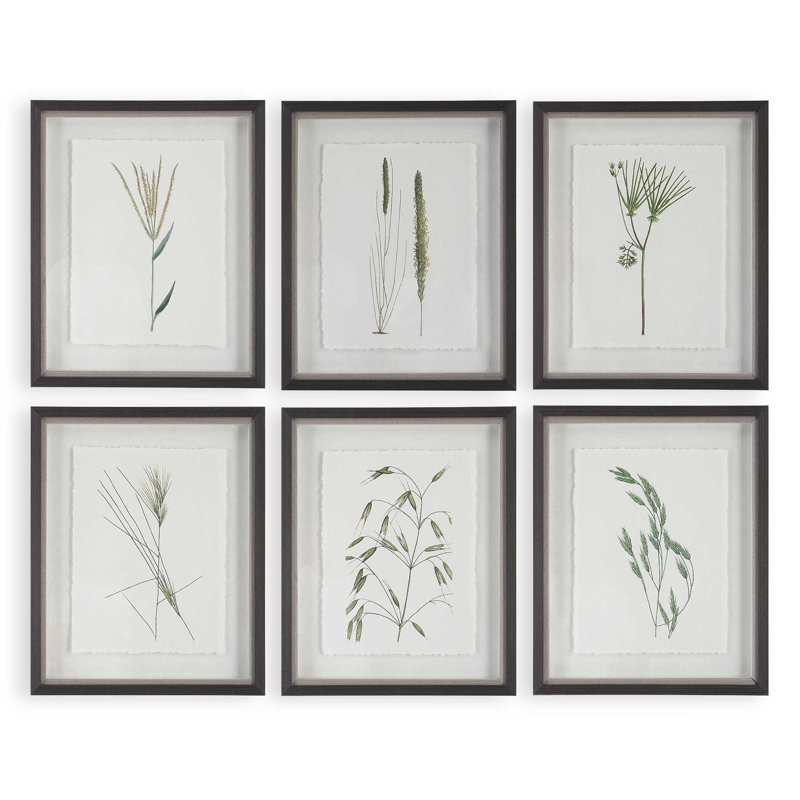  Forest Finds Framed Prints Set/6