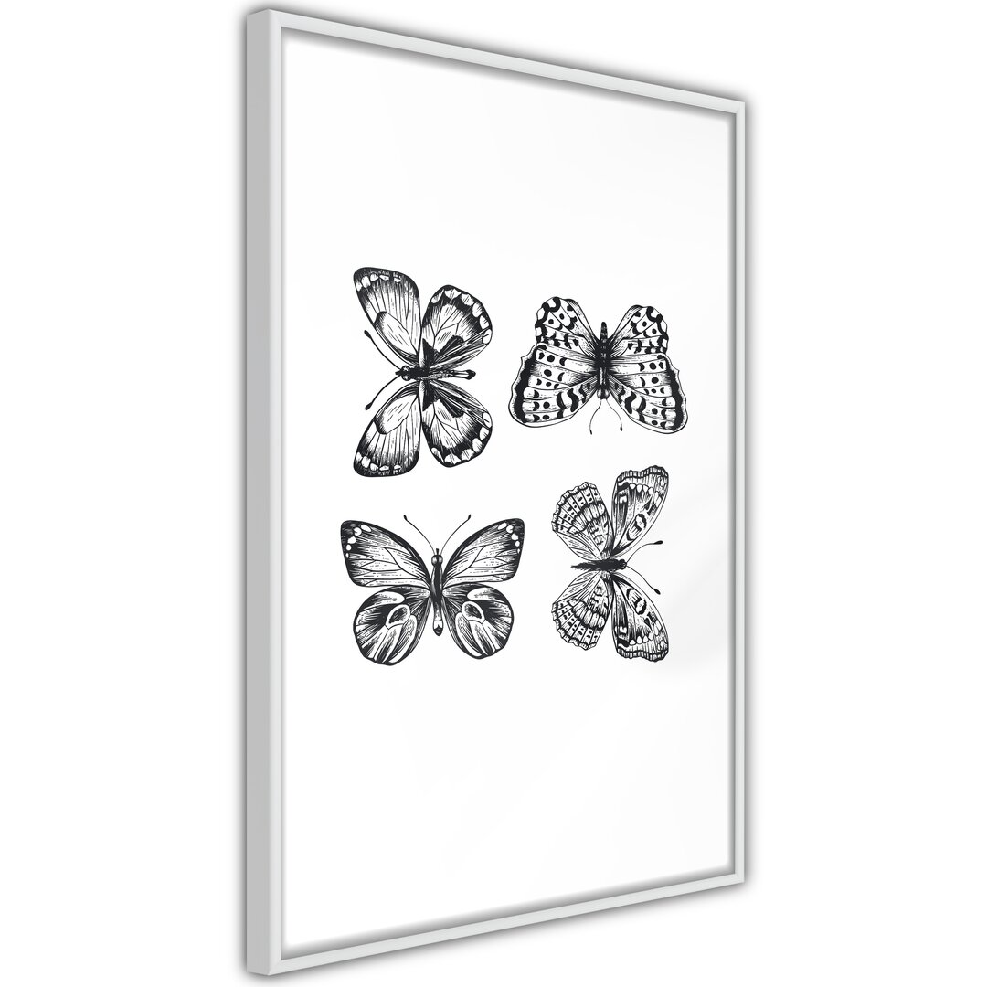 Gerahmtes Poster Schmetterling Kollektion III