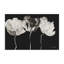 Trio en lumière sur toile noire, design par Lanie Loreth-382515138