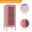 Mully Metal Accent Cabinet-976947459