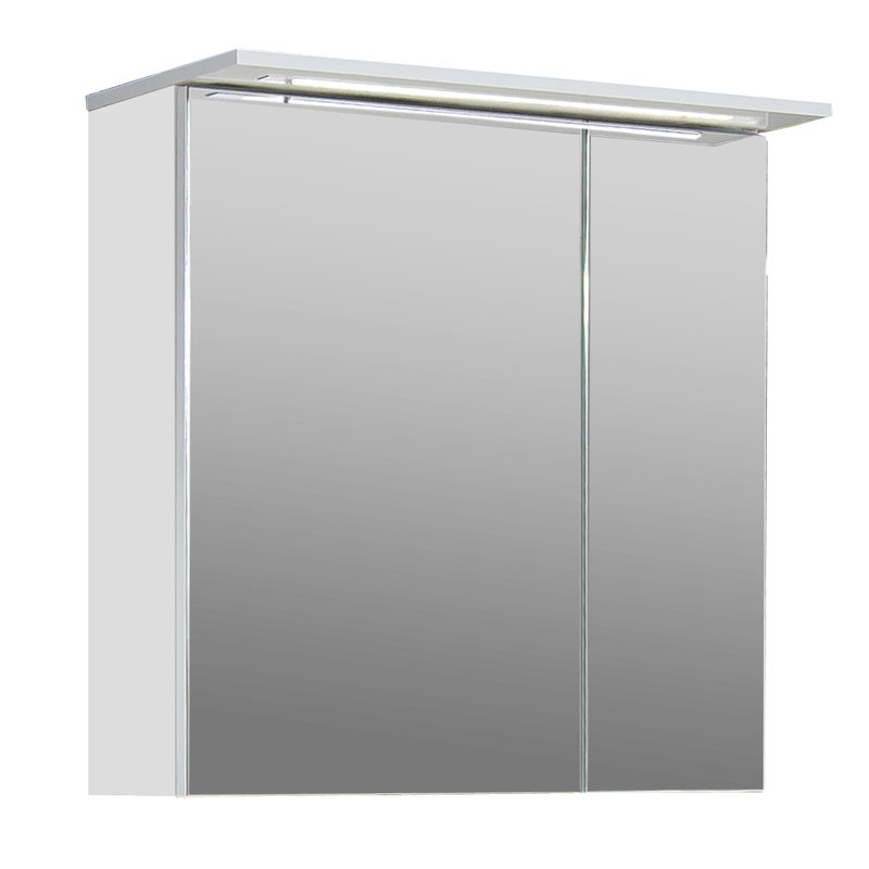 Profil 600mm W 723mm H Surface Medicine Cabinet Mirror 2 Adjustable