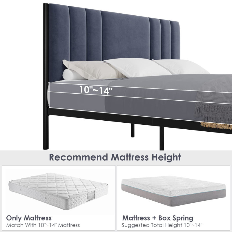 Alsace Upholstered Metal Platform Bed, Queen, Dark Gray