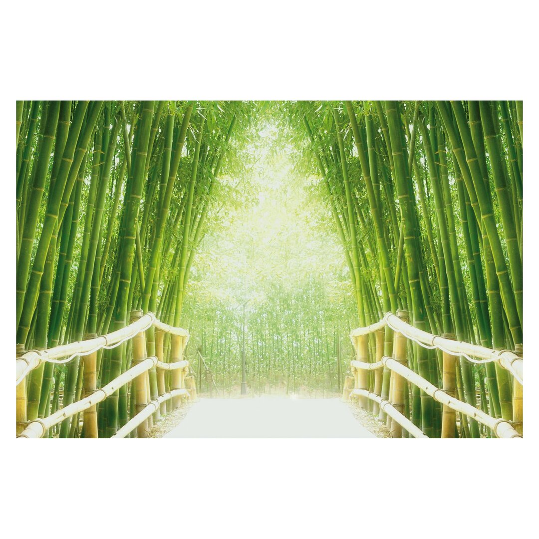 Strukturierte Fototapete Bamboo Way 2,55 m x 384 cm