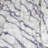Calla Throw Blanket-489693381