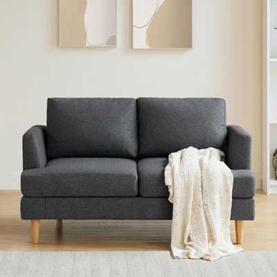 56" Small Couches for Small Spaces Love Seat with 2-Seat Upholstered Cushion