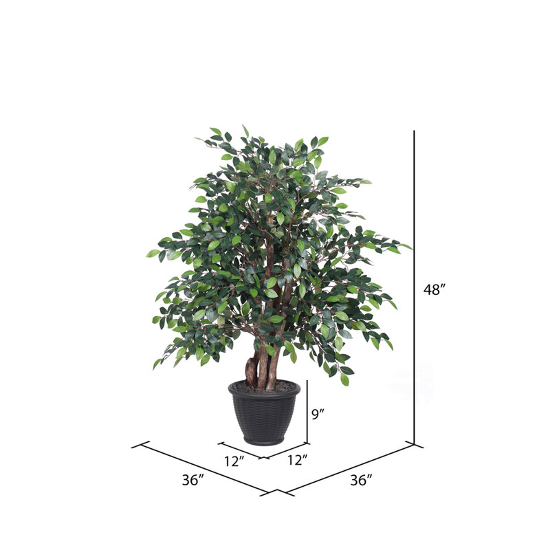 Artificial Mango Extra Full Series, Gray