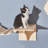 Minier Cat Perch