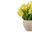Cora RealTouch Muguet Arrangement-1495091163