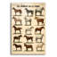 "Animaux De La Ferme" par Vintage Posters-812297888