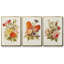 Antique Floral Bouquet I, ensemble de 3 toiles encadrées-97759424-97759427
