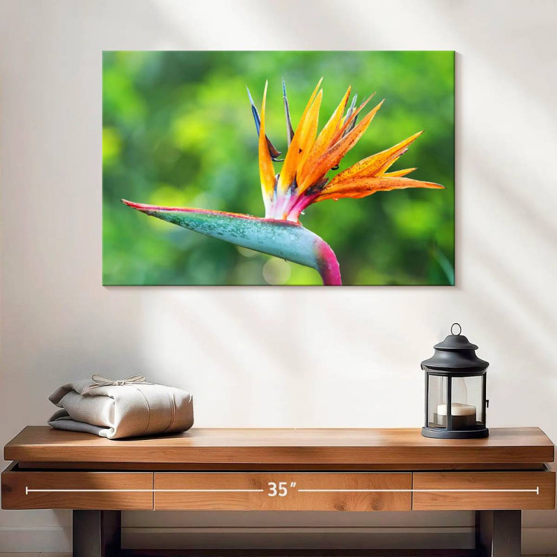 Fleur de l'oiseau du paradis, H 8 po x l 12 po