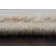Attell Oriental Indoor Rug