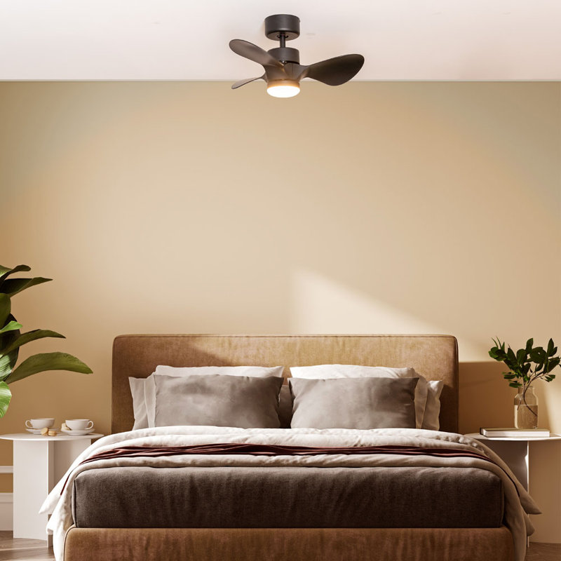 Cayleeann 24cm Ceiling Fan with LED Lights, Black