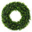 Couronne de verdure de porte d'entrée-63658158-128837937-136073440