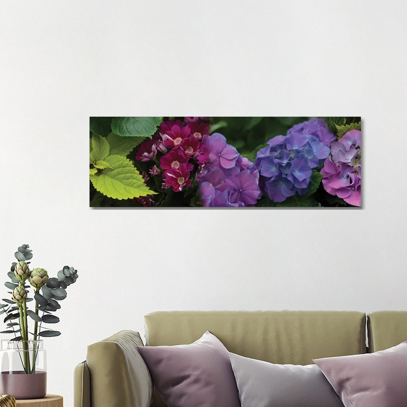 Close-Up of Daisy and Hydrangeas Flowers 1 Piece Wrapped Canvas Panoramic Wall Art, 121.92 cm H x 40.64 cm W x 3.175 cm D