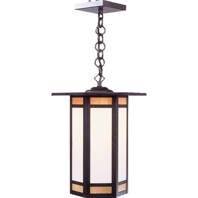 McAlester Outdoor Hanging Lantern