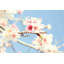 Love of Nature by Irena Orlov - 1 Piece Wrapped Canvas Wall Art-675654601