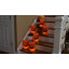 Sacs en plastique orange Jack O'Lantern Luminaria - 12 unités