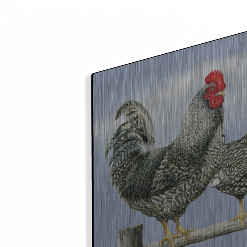 «Black White Hens 1» par Janet Pidoux, H 12 po x l 24 po