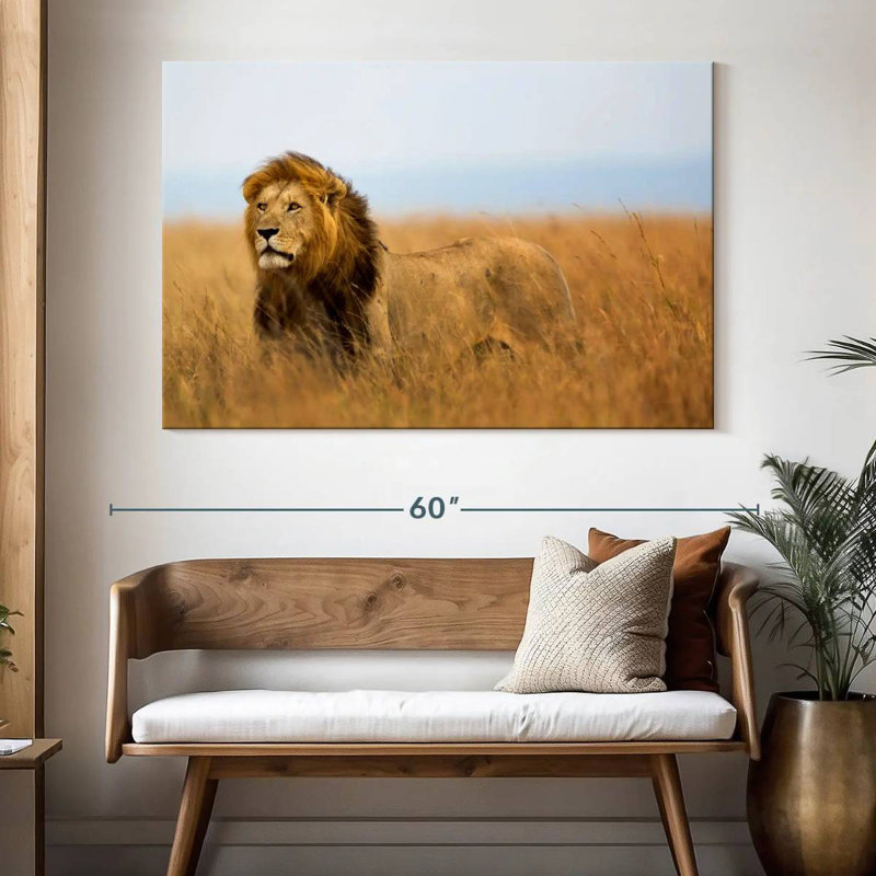 Lion chassant en safari, H 34 po x l 51 po