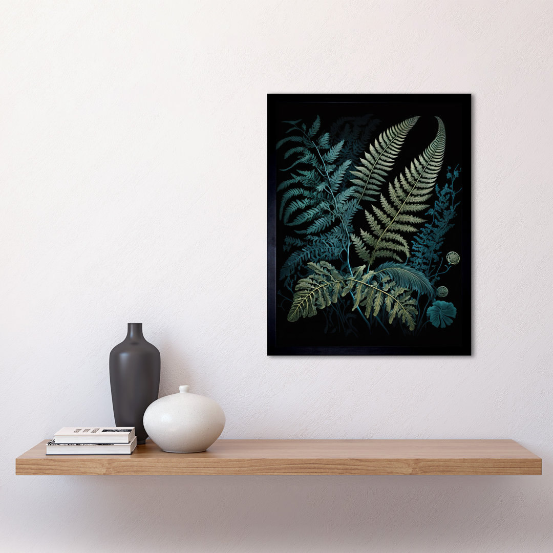 Ernst Haeckel Style Leaf Illustration Fern Fronds - Single Picture Frame Print