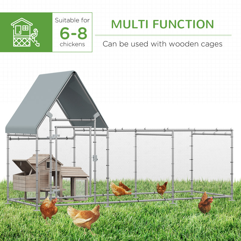 Walk in Chicken Run avec Chicken Run