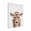 Peekaboo Baby Cow-50755784