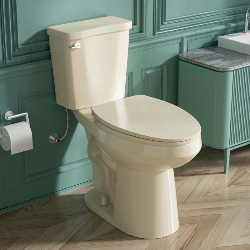 Aguamaph 20 in. White Elongated Two-Piece Toilet with Seat
