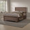 Jujuan Standard Bed with Drawers