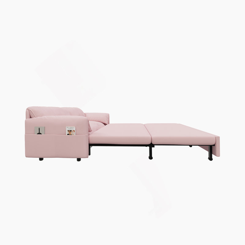 Loveseat Convertible Sleeper Sofa With Side Storage
