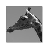 Giraffe Profile Black & White Print by DecorumBY
