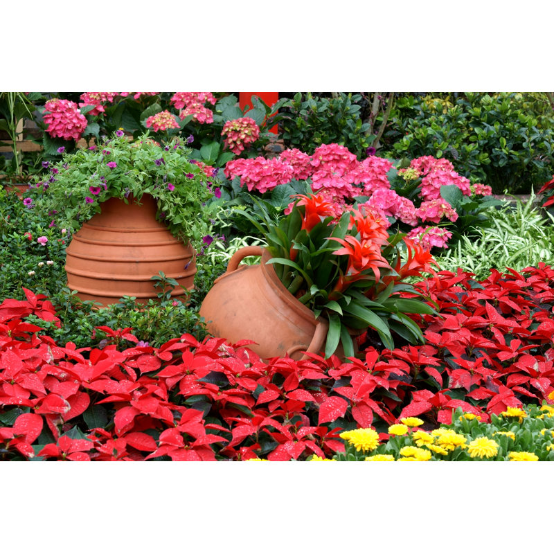 Flowerbed With Gallipot by Yangchao - Wrapped Canvas Print, 30cm H x 46cm W