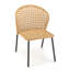 Maday Patio Dining Side Chair with Cushion-295285493-295285450