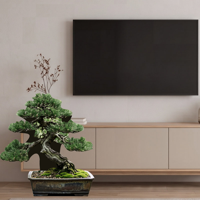 SP13728 Zen Garden Bonsai Tree