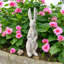 Animals Resin Garden Statue-765228555