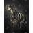 Picard Spaniel Print On Canvas