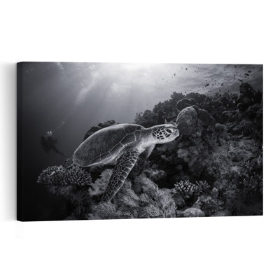 Sunlit Ocean Turtle Abstract Contemporary Turtle Nature Ocean Wall Art Print 1 Piece Wrapped Canvas Wall Art