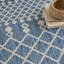 Tapis intérieur / extérieur Robbs-817427361-835496096