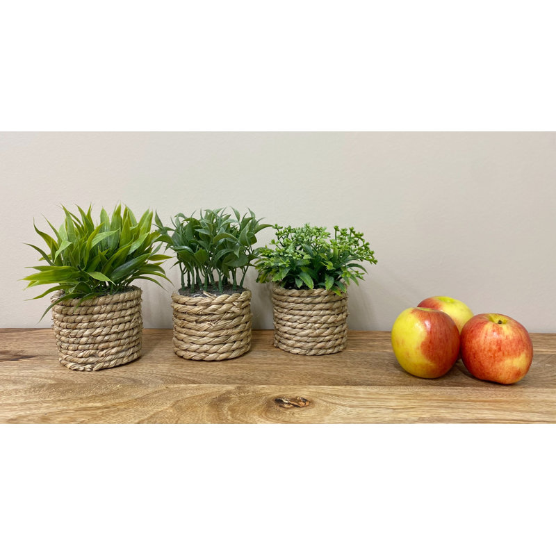 Natural Fibres Mixed Assortment Arrangement in Pot