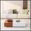 Table basse de style moderne avec deux espaces de rangement