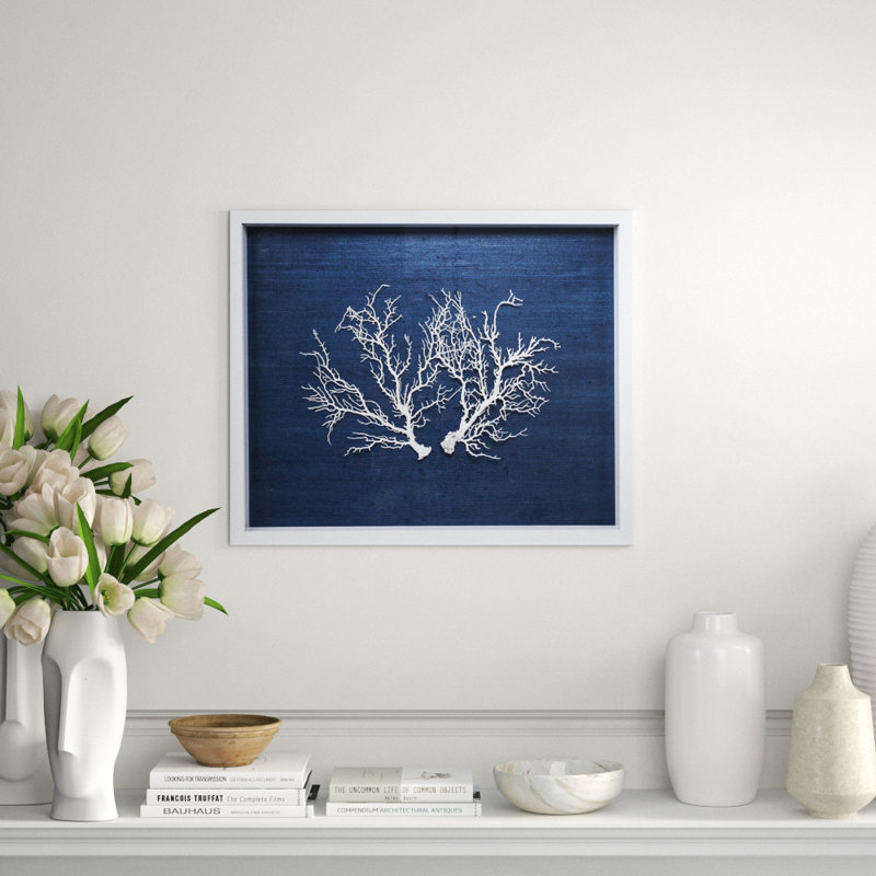 Sealife Print